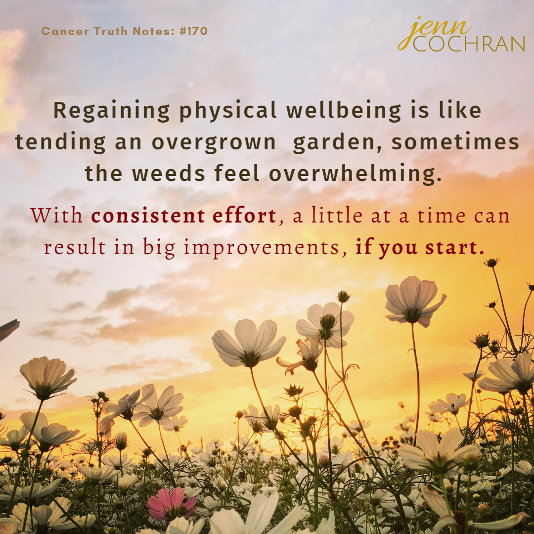 Day 170 Regaining physical wellbeing is like tending a garden