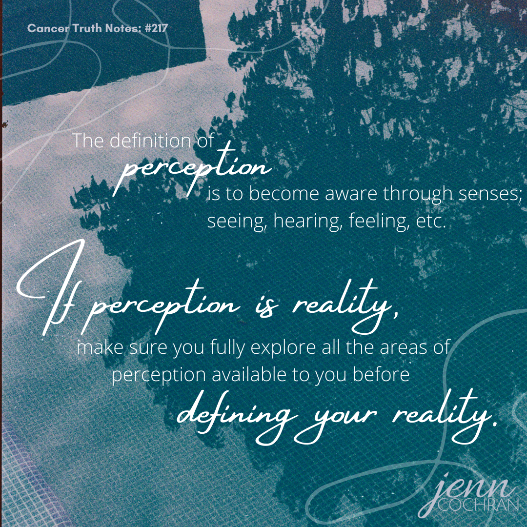 Day 217 the definition of perception